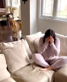 主人假哭测试狗狗，没想到狗狗的举动让她真的哭了